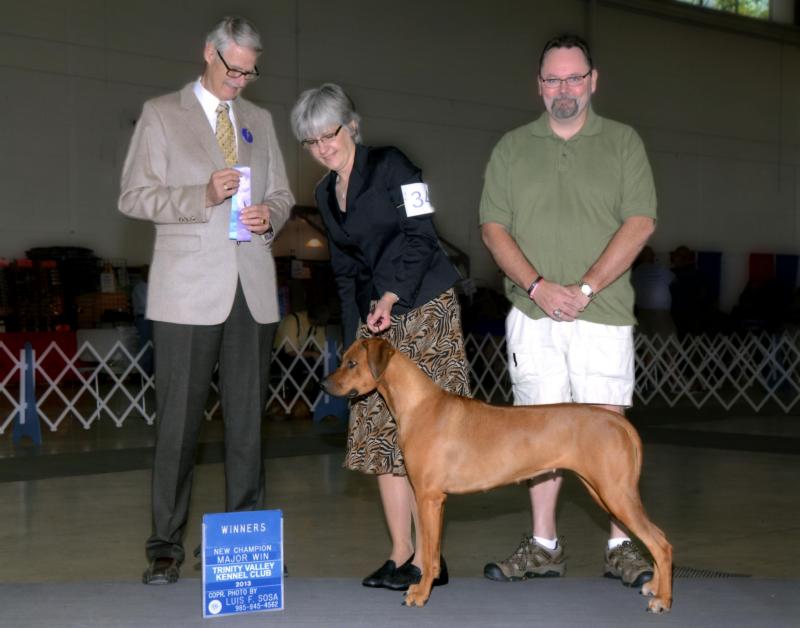Madhi finishing her AKC Championship